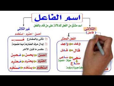 اسم الفاعل فى اللغة العربية من الفعل الثلاثي وغير الثلاثي  المشتقات