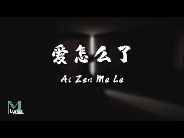 Chen Cun Zhang (陈村长)  Ai Zen Me Le (爱怎么了) Lyrics 歌词 Pinyin/English Translation (動態歌詞)