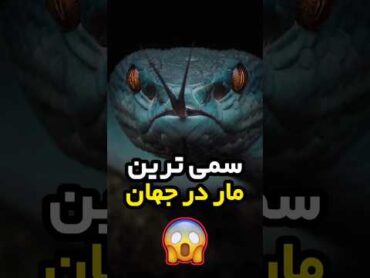 خطرناک ترین مار در جهان 😱