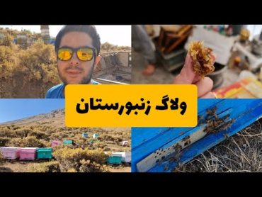 ولاگ زنبورستان 🐝🍯 از کندو های زنبور گرفته تا معرفی کتاب