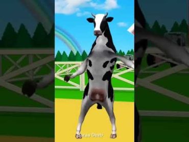 البقرة الراقصة  البقرة الحلوب  البقرة الضاحكة  بقرة  the cow