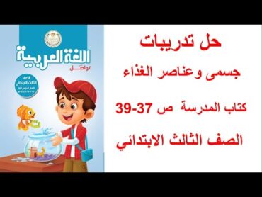 حل صفحة 373839 كتاب المدرسة تدريبات درس جسمى وعناصر الغذاء سنة تالتة ابتدائي ترم اول