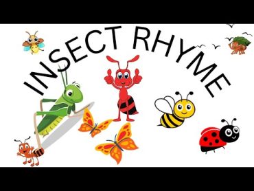 INSECT RHYME , KIDS FUN VIDEO