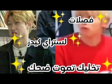 ستراي كيدز ✨فصلات ستراي كيدز ✨ تخليك تموت ضحك 🤣🤣مقاطع مضحكه