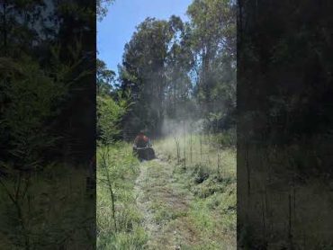 Mowing thick grass Australia