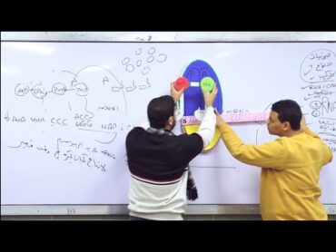 26 الدرس الرابع  RNA وتخليق البروتين 🧬 متعة التعلُّم ✨♥️