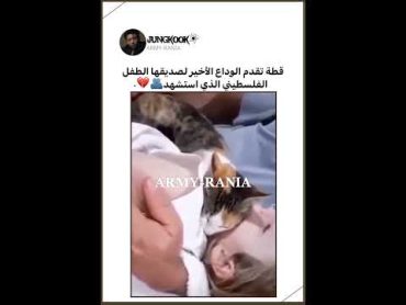 قطة تقدم الوداع الأخير لصديقها الطفل الفلسطيني الذي استشهد 💔 share svt explore