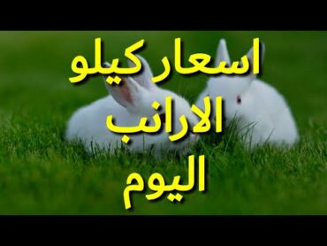 اسعار كيلو الأرنب اليوم