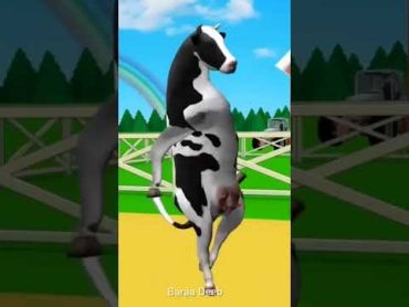 بقره ترقص  البقرة الضاحكه  البقرة الحلوب  بقرة العيد  the cow  بقرة Cow 🐮🐄