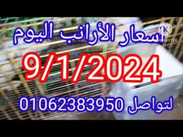 اسعار الأرانب اليوم9/1/2024