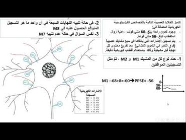 العرض29 حل تمرين مقترح في الادماج العصبي