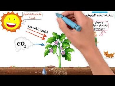 انعكاس الضوء   ثانية ثانوي  فيزياء  مستر هاني البخاري