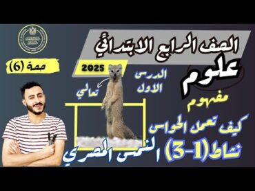 حصريا الدرس الاول علوم الصف الرابع الابتدائي مفهوم كيف تعمل الحواس الترم الاول 2025 نشاط (13)