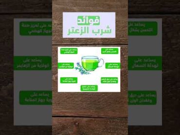 فوائد شرب عشبة الزعتر فوائد الغذاء والدواء صحة الزعتر نبتة أعشاب وعلاجات