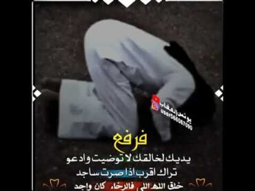 قصائد بدويه خليجيه حالات شعر بدوي رووووعه