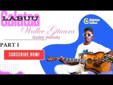 Galata Labu New Oromo Music officiel vidéo viral 2024