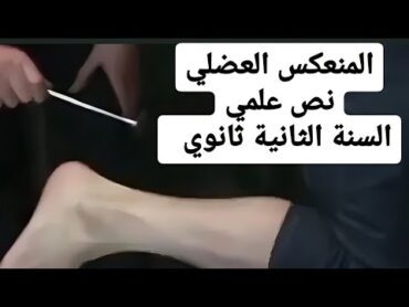 حل تمرين حول المنعكس العضلي...نص علمي... السنة الثانية ثانوي  ... وحدة التنظيم العصبي