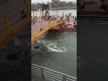 Ganga Maiya!!  haridwar uttarakhand!!