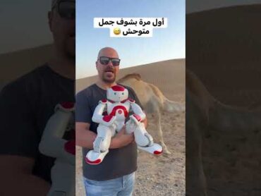 تعرضنا لهجوم 😅 🐪 شربل النجار shorts