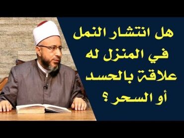 هل انتشار النمل في المنزل له علاقة بالحسد أو السحر ؟  الأستاذ الدكتور محمد سيد سلطان