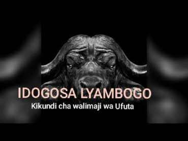 IDOGOSA LYAMBOGO Kikundi cha Walimaji wa Ufuta by N recods