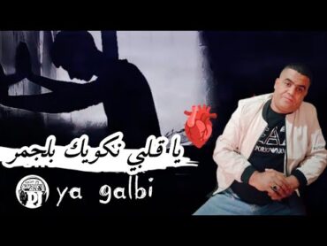 يا قلبي نكويك بلجمر 😢يبدع شيخ شايب أغنية جديدة jadid Cheikh chayeb ya galbi nakwik baldjmar