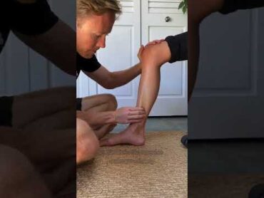 Tibialis Posterior Massage For Posterior Shin Splints