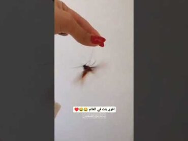 ضحك صرصور فوبيا  خوف