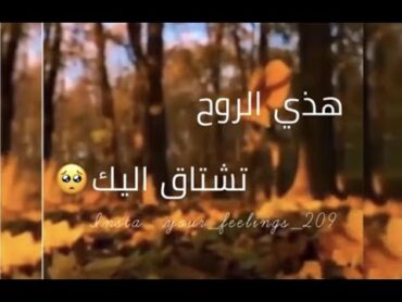 هذي الروح تشتاق اليك مع الكلمات ❤️🥰