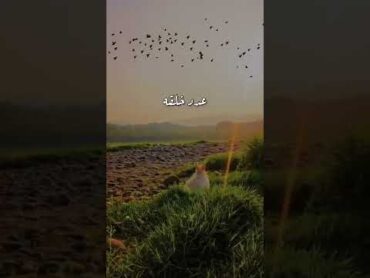 أصبحنا وأصبح الملك لله 🌴🌤️ اذكار الصباح