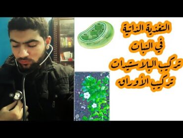 أحياء تانية ثانوي  التغذية  الدرس الثاني (1)