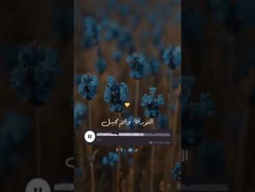 تلاوات مختارة  سورة ال عمران الآية ٢٣