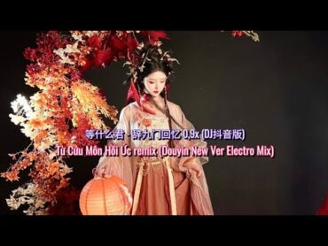 等什么君  辞九门回忆 0,9x (DJ抖音版)  Từ Cửu Môn Hồi Ức remix