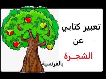 تعبير كتابي  باللغة الفرنسية **l&39;arbre** عن الشجرة للسنة الخامسة ابتدائي