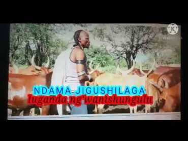 NDAMA JIGUSHILAGA luganda kwa mwanishungulu pr by lwenge studio