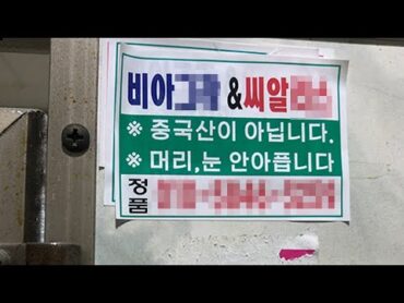 약사가 직접 비아x라, 시알x스 구매 시도 해봤습니다