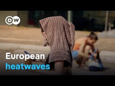 How heatwaves impact our lives  DW Documentary