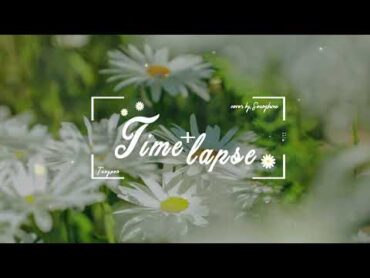 [ Vietsub  cover ] Time Lapse (Taeyeon)   Seungkwan (승관)