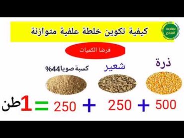 كيفية تكوين خلطة علفية للاغنام والماعز والابقار وحساب نسبة البروتين فيها(الجزءالثاني)