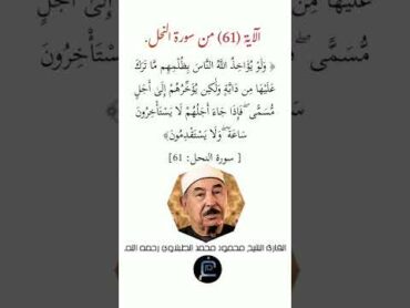 الآية (61)من سورة النحل// القارئ الشيخ محمد الطبلاوي رحمه الله.