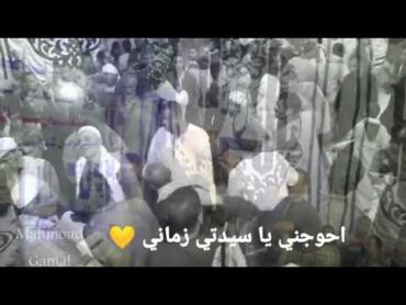 حالة واتس روعه للشيخ مصطفي جمال على اللحن السوداني وتجلي الجمهور