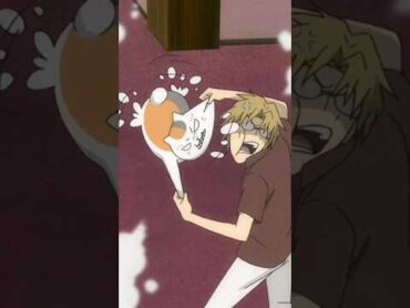 Nyanko sensei and Natori are fighting