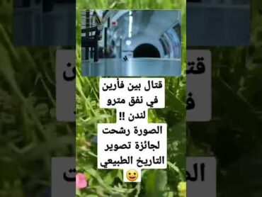 حالات واتس اب كتابة مضحكة 😂