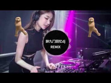 辞九门回忆dj remix douyin 抖音 2024