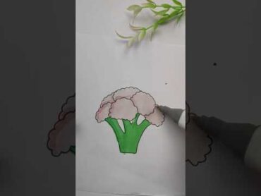 Satisfying Cauliflower Colouring ASMR shorts  SM DRAWING TIME  colouring book shorts art