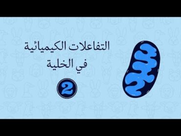 التنفس الخلوي (2)