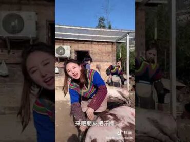 girl kill pig 李楚伦 China 中国 强力视频