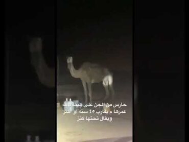 كاميرات تسجل تحول الجن لحيوان 😱😦!!