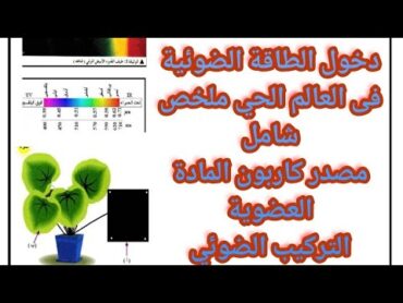 دخول الطاقة الضوئية في العالم الحى /ملخص شامل /مراجعة اختبار الفصل الاول/السنة1 ثانوي جذع مشترك علوم