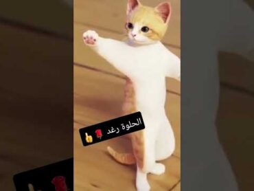 طلب خاص الحلوة رغد 😍 funny ترند wow viral طيور الجنة shorts